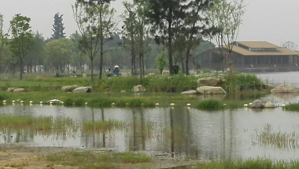 勝地公園 吳江最大的生態園——吳江5日生態游記
